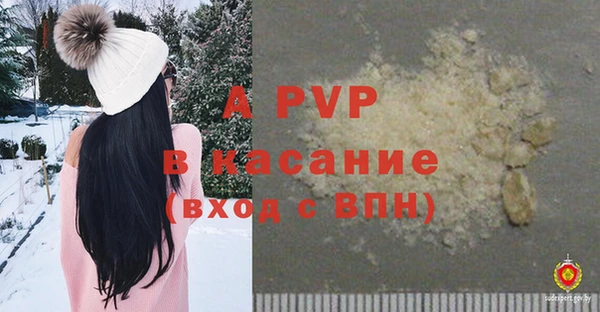 сатива Богородск