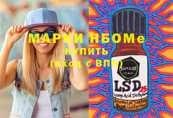 индика Инта
