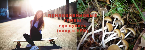 спиды Бронницы
